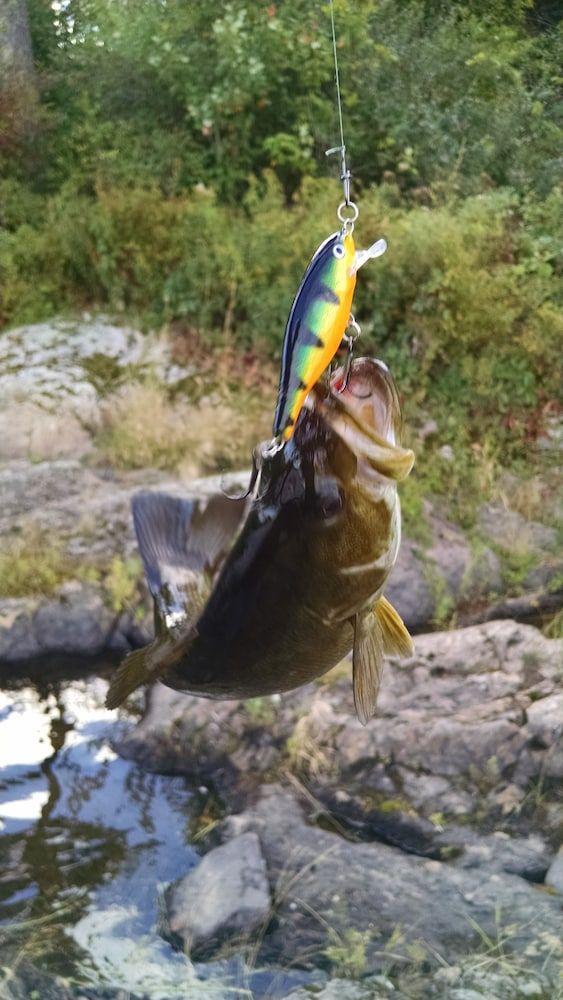 Milford Motel On The River 2 estrelas em Milford