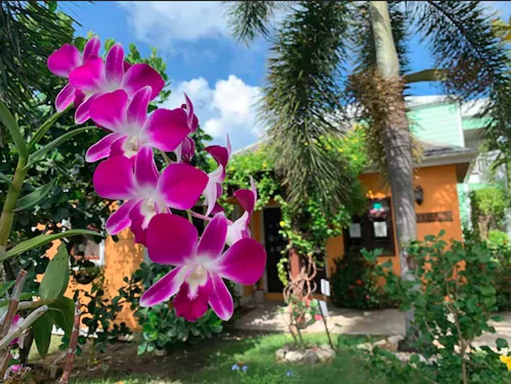 Buccaneer Beach Club 3