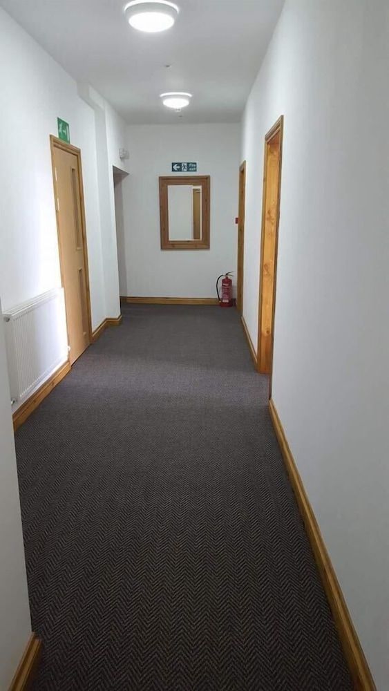 The Bear on the Square 3