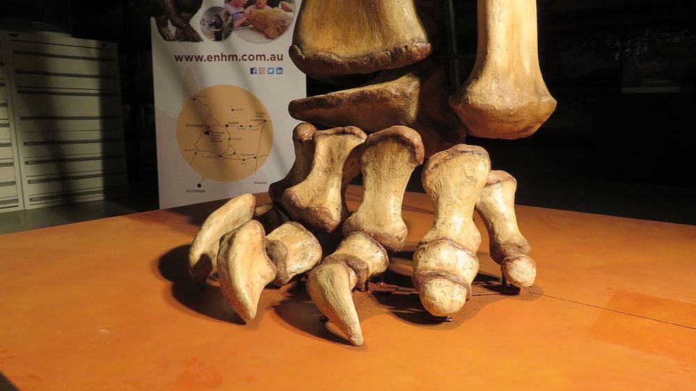 Cooper's Country Lodge 2