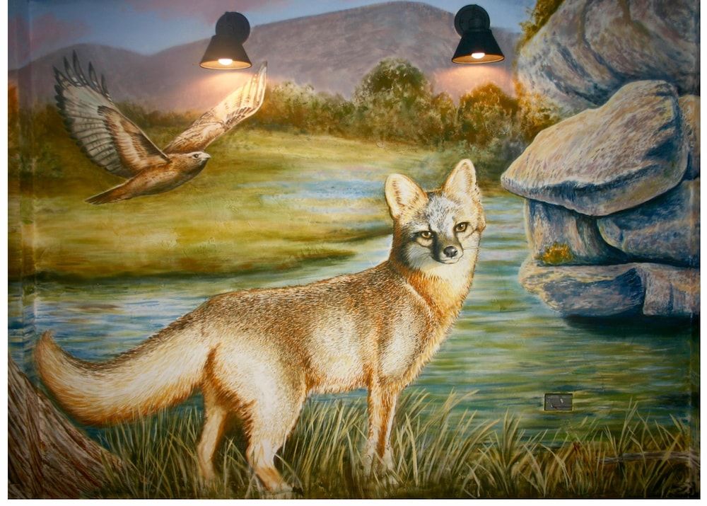 Hotel Flora & Fauna 2