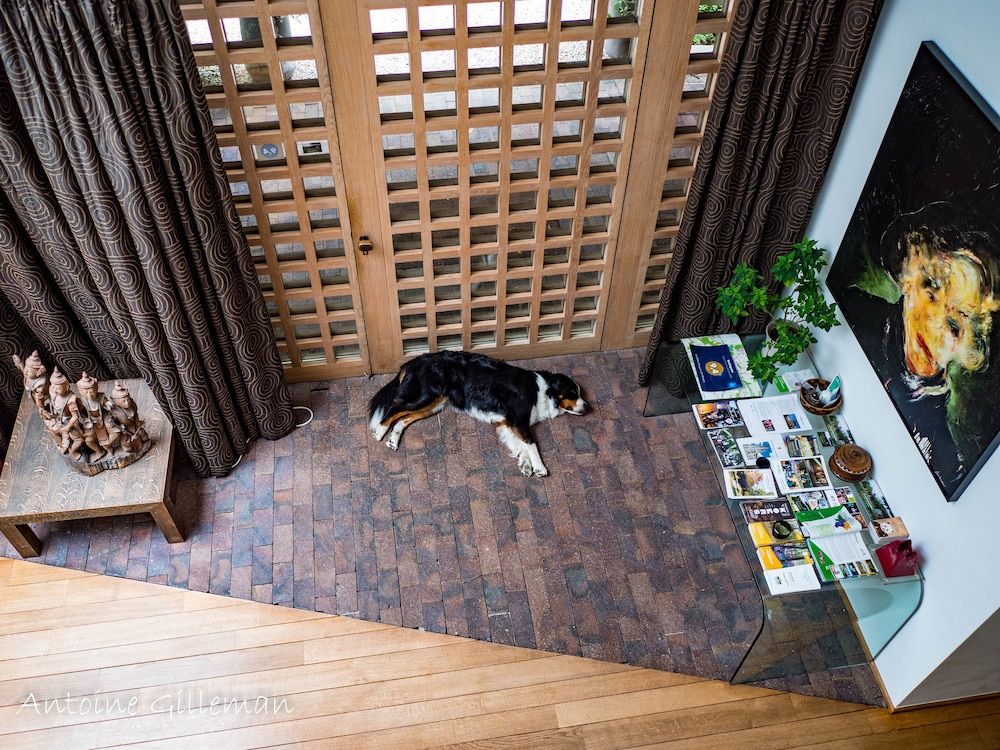 La Petite Bruyere De Renaix 2