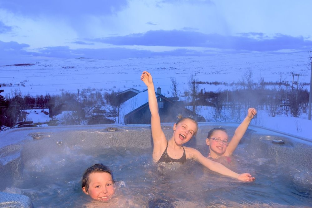 Torsetlia Fjellstue og Hyttegrend -1 estrelas em Dagali