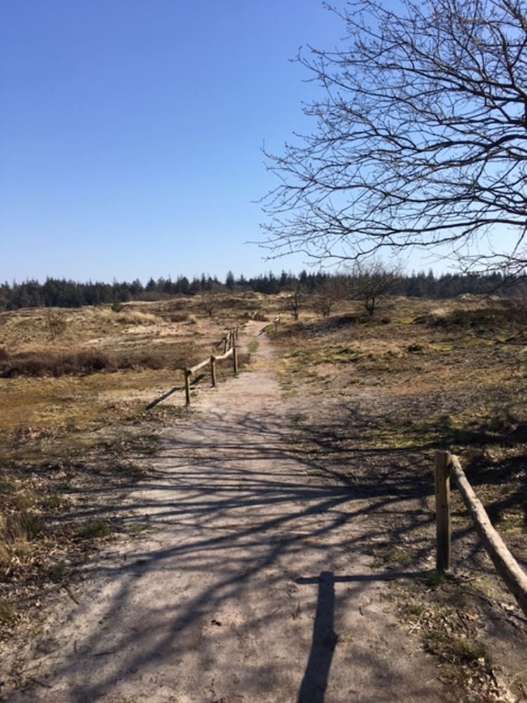 Reiterhof Wollesen -1 estrelas em Süderlügum