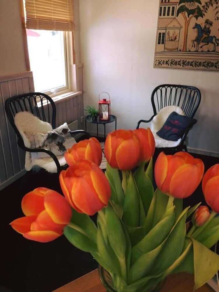 Bjursas Skicenter & Camping 2