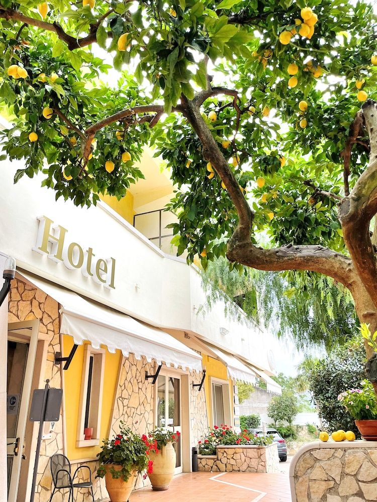 Yellow Park Hotel 3 estrelas em Forchia