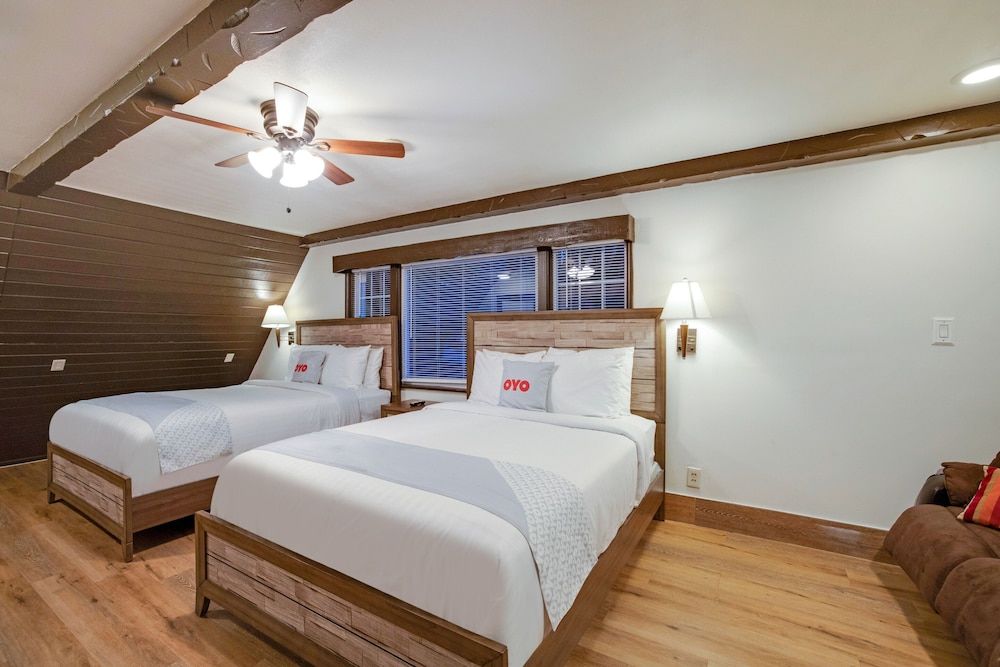 Arrowhead Tree Top Lodge 3