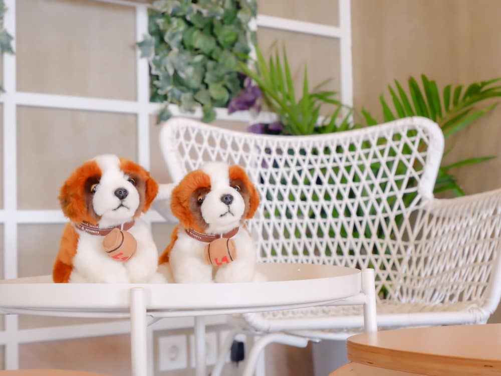 Swiss-Belexpress Cilegon 3