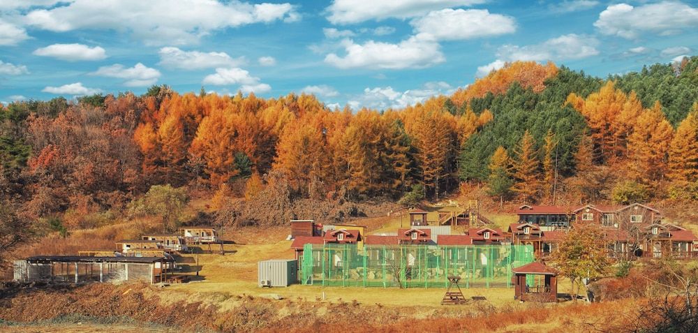 Nature and Healing -1 estrelas em Hoengseong