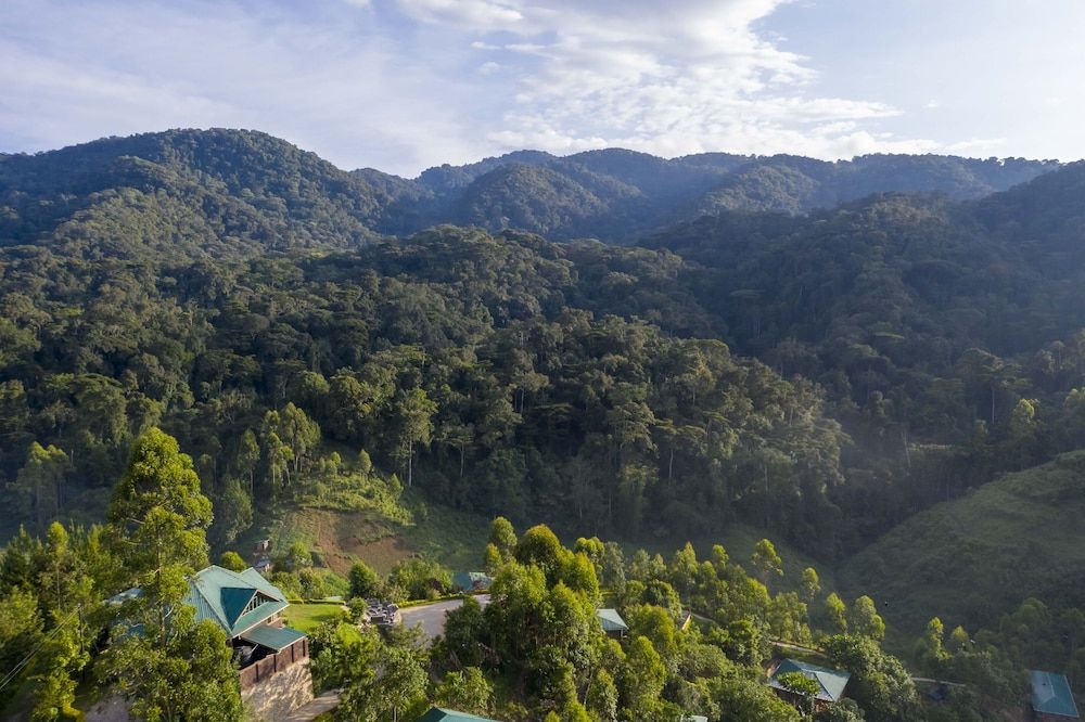 Rushaga Gorilla Lodge 2