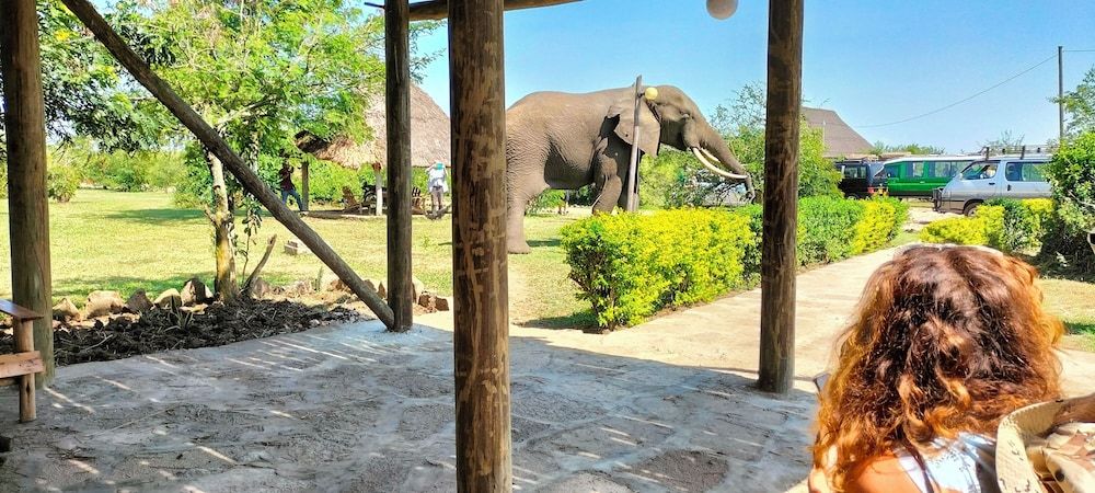 Engiri Game Lodge and Campsite 2