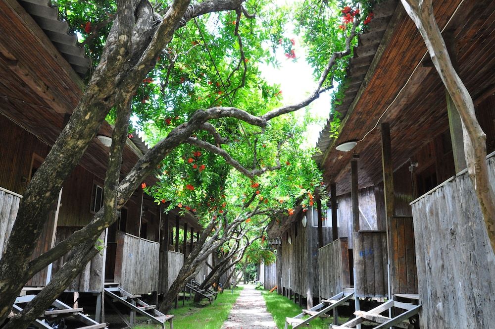 Turkmen Tree Houses 3