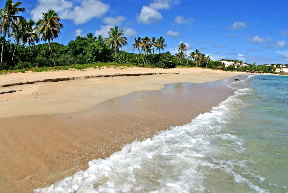 Yepton Estate Cottages 3 étoiles à Saint Johnʼs