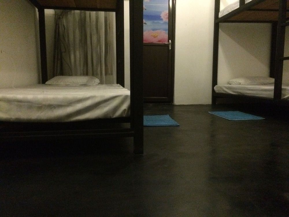 Nature Rex - Hostel 2