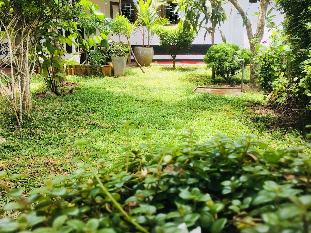 Nature Rex - Hostel -1 étoiles à Weligama