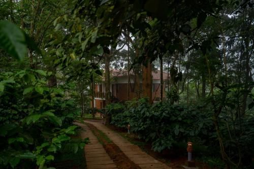 Vythiri Mist Resort 3