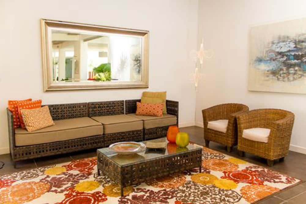 Ld Plus Palm Beach 2