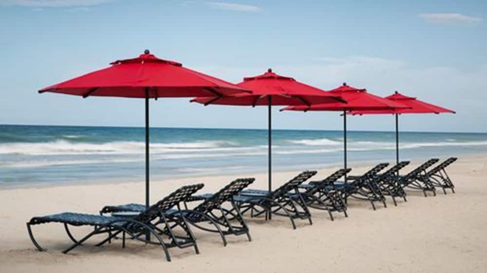 Ld Plus Palm Beach -1 estrellas en La Mira