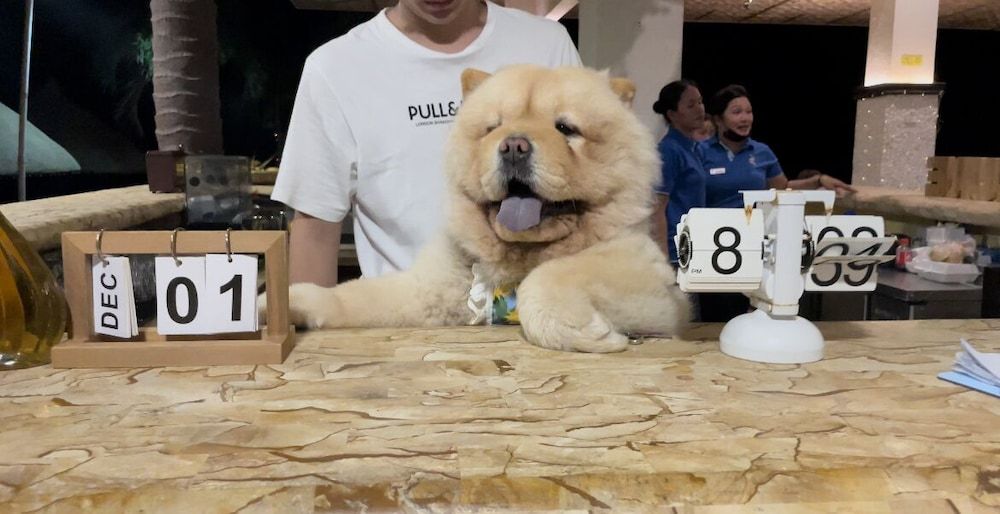 Azure camotes resort hotel 2