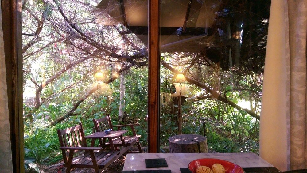 The Black Cockatoo Nannup 2