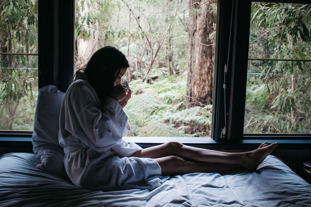 Woodlands Rainforest Retreat 3