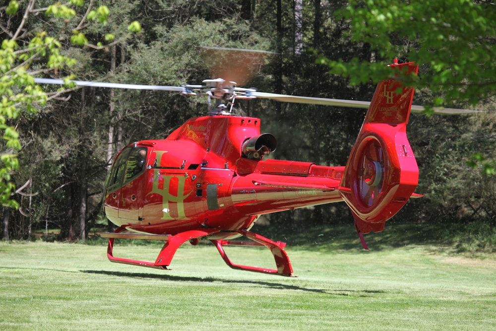 Woodlands Rainforest Retreat 2