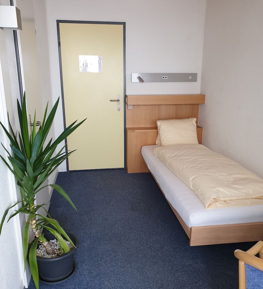 Erlebnisland Grizzlybär 2