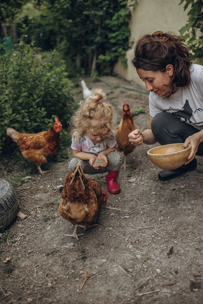 B&B Naturin - Cascina Colombaro -1 estrelas em Lauriano