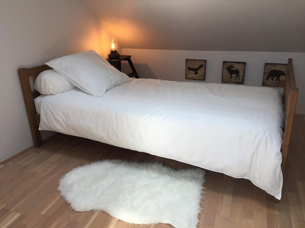 Un Figuier Dans Notre Jardin 3