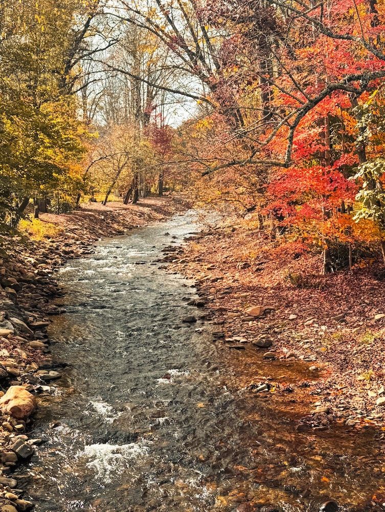 Cozy Creek Cottages 3 estrelas em Maggie Valley