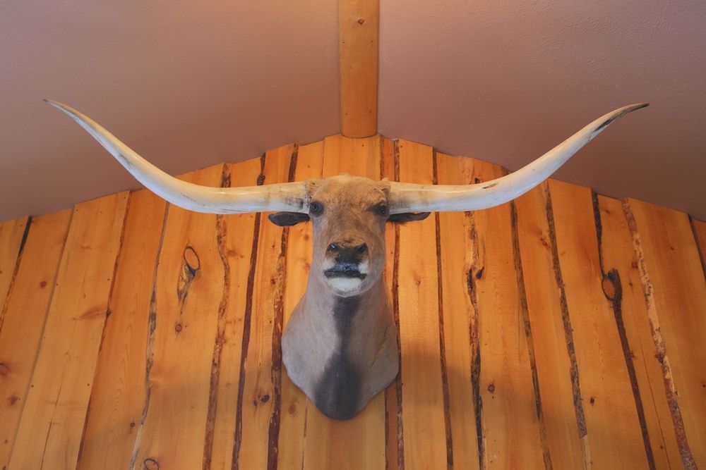 The Longhorn Ranch Lodge and RV Resort 2