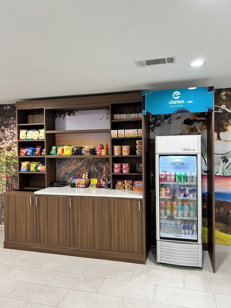 Clarion Pointe-Dillard near Blue Ridge Mountains 2