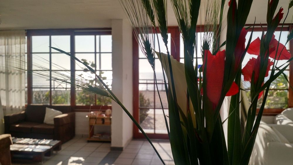 Los Delfines de Chicama 3