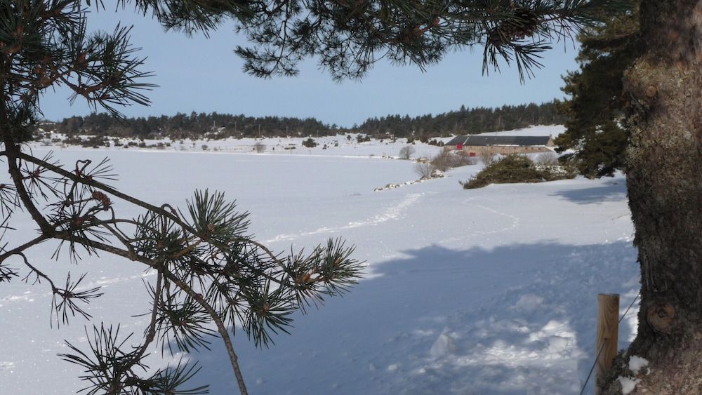 instants d'Absolu Ecolodge & Spa -1 étoiles à La Boissonnière