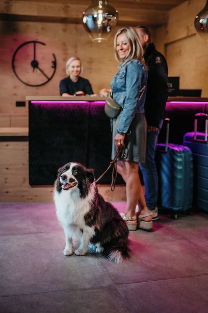 Almhof Alpin Apartments & Spa 2