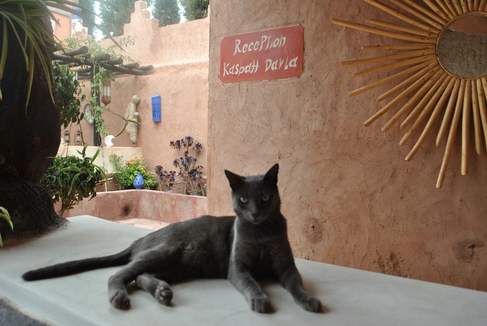 Auberge Kasbah Darla 2