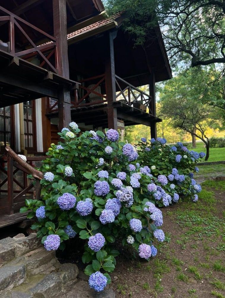 Aufenthalt Cabañas 2