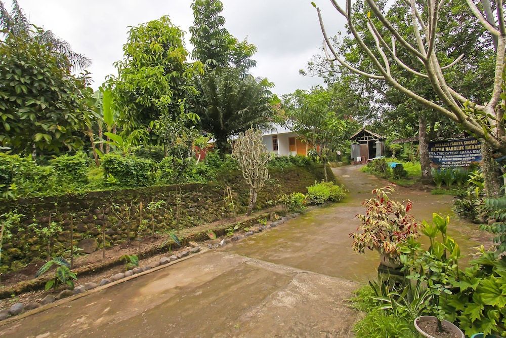 Hotel O Jati Homestay Near Taman Suranadi 2