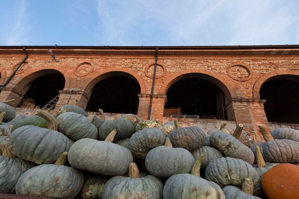 Agriturismo Arte Contadina -1 étoiles à Fiorenzuola d'Arda