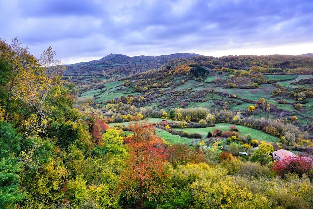 Agriturismo Bio I Rondinelli -1 estrelas em Arcidosso
