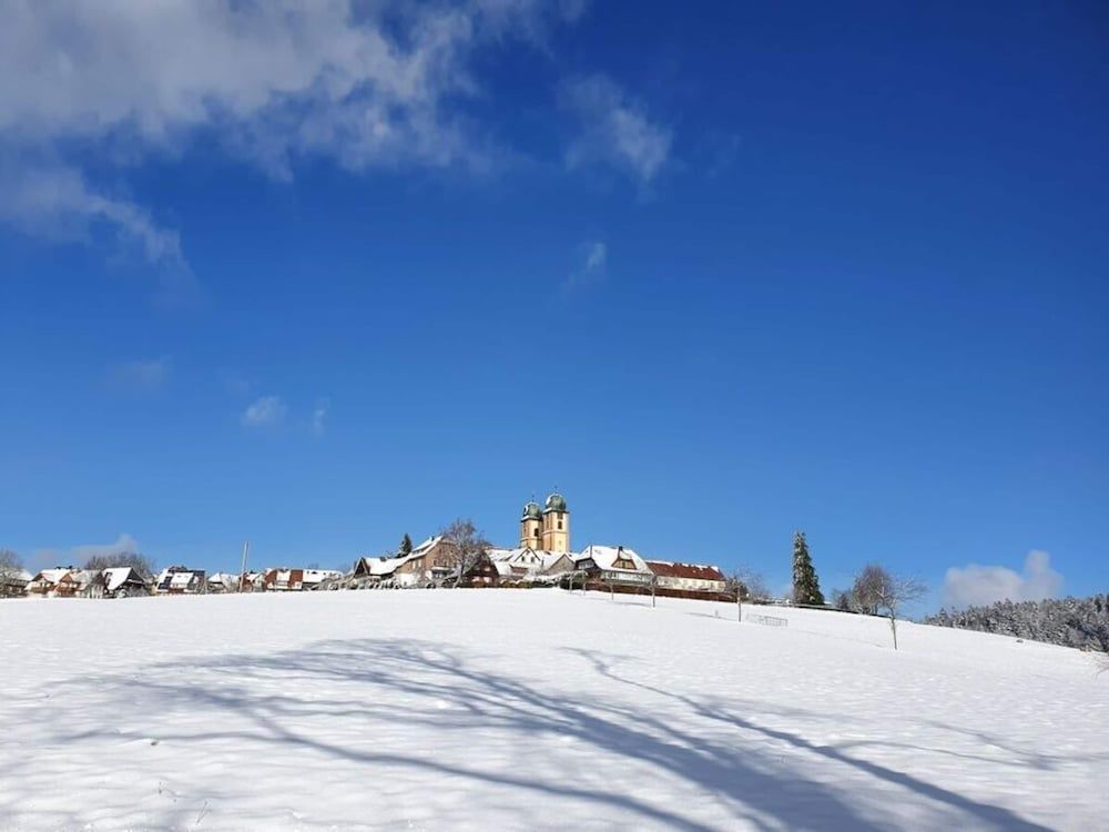 Landhuis Appartement Feldberg Uitzicht -1 estrellas en Sankt Märgen