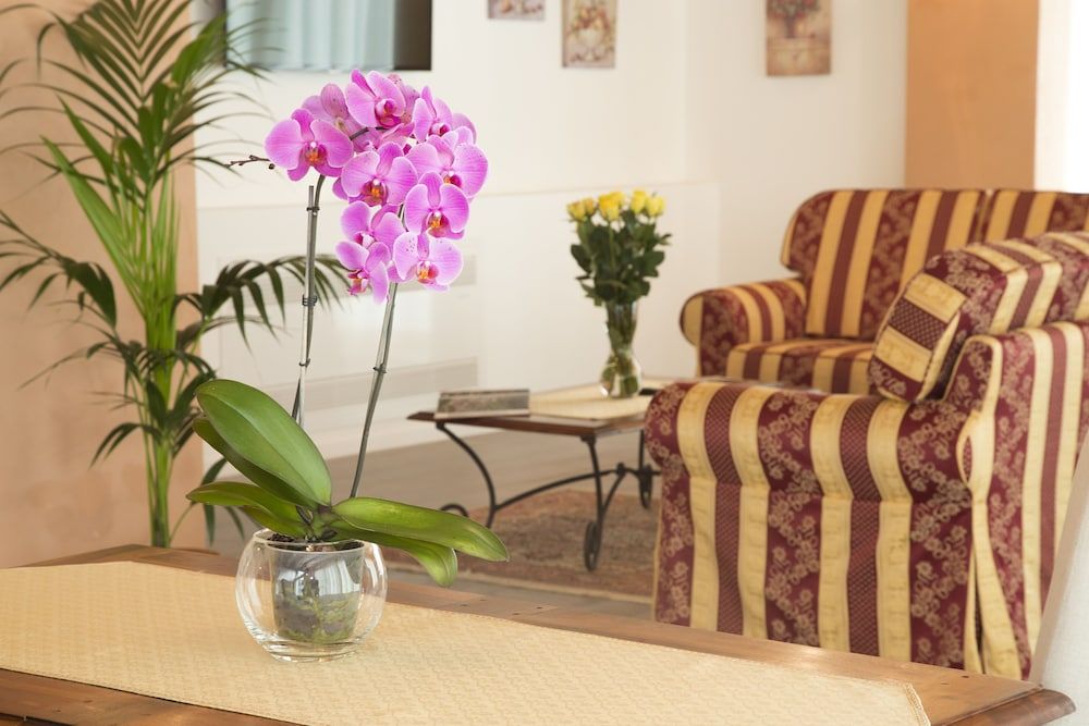 Agriturismo Ae Cavane 2