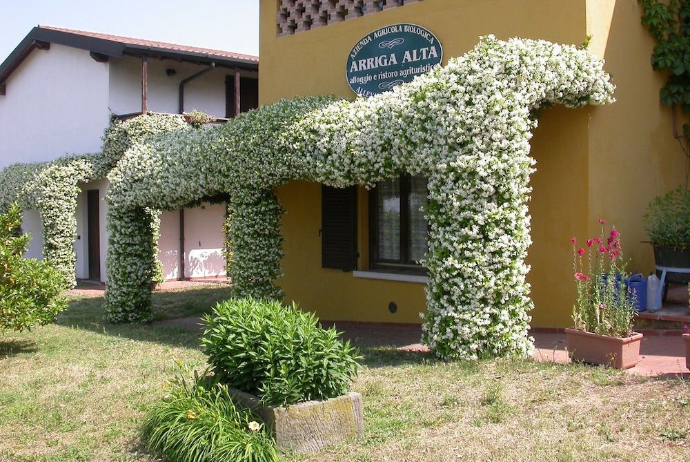 Arriga Alta -1 estrelas em Lonato del Garda