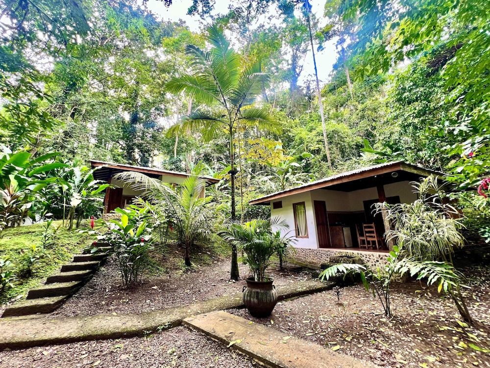 FINCA ARDILLA 2