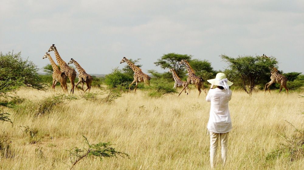 Maasai Simba Camp -1 étoiles à Amboseli