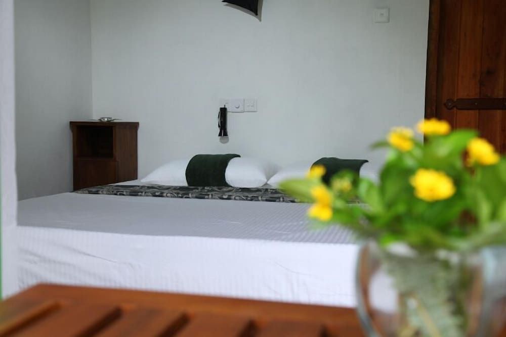 Sinharaja Forest Edge 3