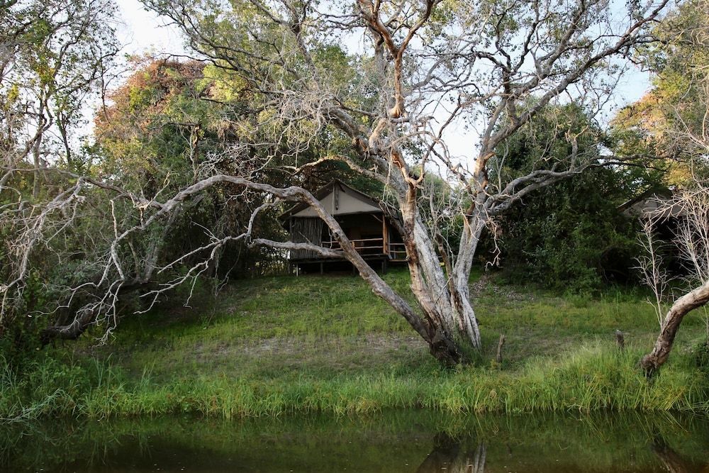 Zambezi Dusk 3