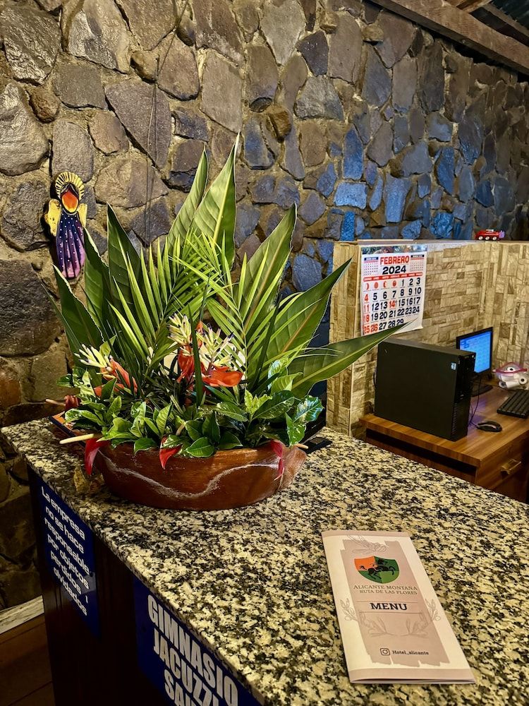 Hotel Alicante Montana 2