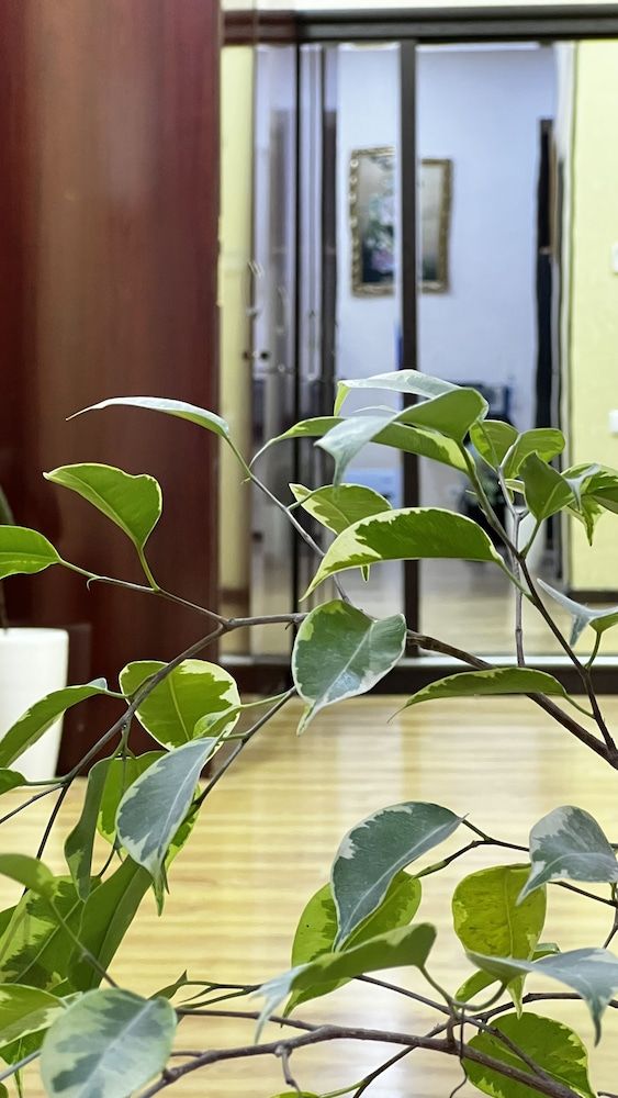 Hayot hostel 2