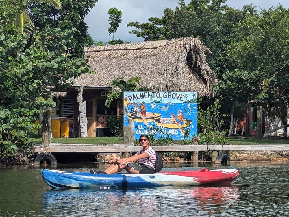 Palmento Grove Eco Cultural & Fishing Lodge -1 estrellas en Hopkins